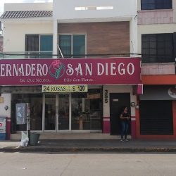 Floreria San Diego