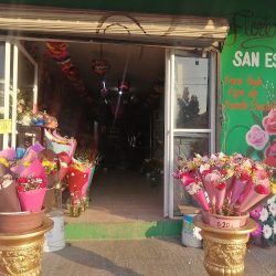 Floreria San Esteban