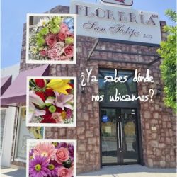 Florería San Felipe