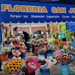 Florería San José