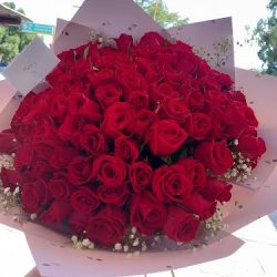 Floreria San Jose