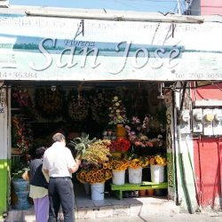 Florería San José Tijuana
