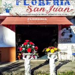 Floreria San Juan