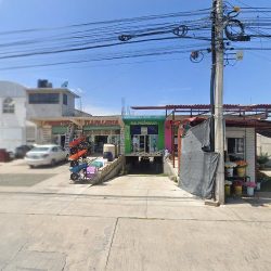 Floreria "san Juan"