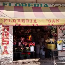 Floreria San Juan