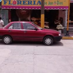Florería San Juan De Dios