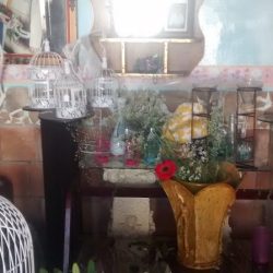 Florería San Juanita