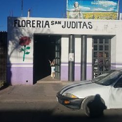 Floreria San Judas