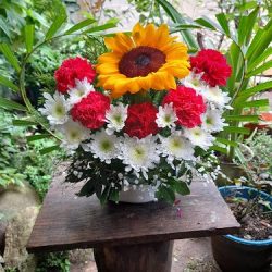 Floreria "san Judas Tadeo"