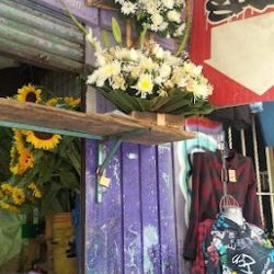 Floreria San Judas Tadeo