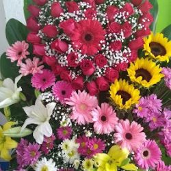 Floreria "san Juditas"