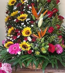 Floreria "san Juditas"