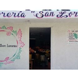 Floreria San Lorenzo