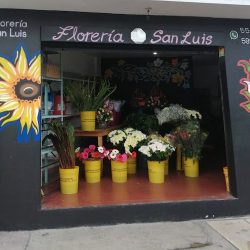 Florería San Luis