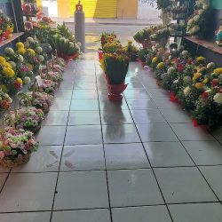Floreria San Manuelito