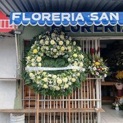Floreria San Martin