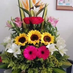 Floreria “san Martin”