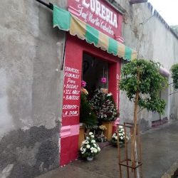 Florería San Martín