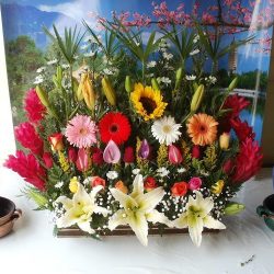 Florería San Martín