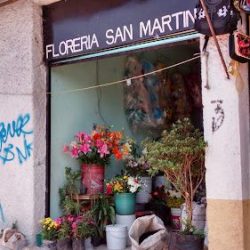 Florería San Martín