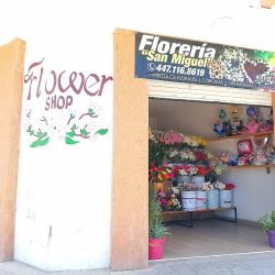 Floreria San Miguel