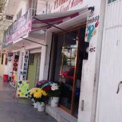 Florería San Miguel Arcangel