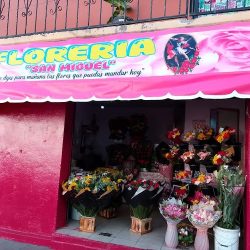 Florería San Miguel Tecámac