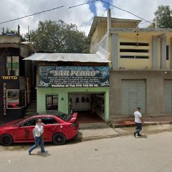Floreria San Pedro