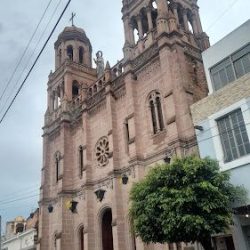 Florería San Pedro