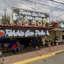 Floreria San Puha