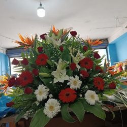 Florería San Sebastián Martir