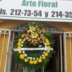 Florería San Valentin