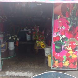 Florería San Vicente