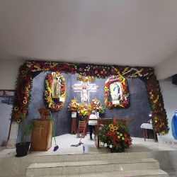 Floreria SÁnchez "casa Blanca