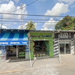 Florería Sandy