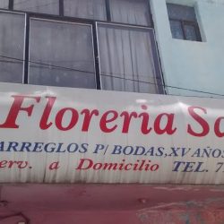 Florería Sandy
