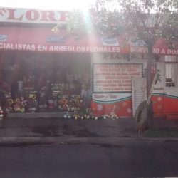 Florería Santa Anita