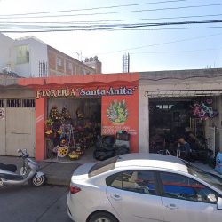 Floreria Santa Anita