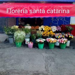 Florería Santa Catarina
