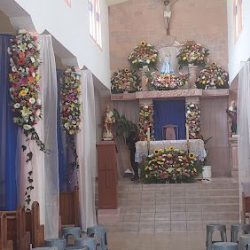Floreria Santa Cruz