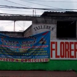Floreria Santa Cruz