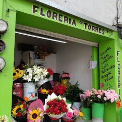 Floreria Santa Maria
