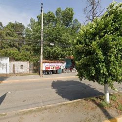 Floreria Santa Rosa