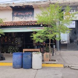Floreria Santa Teresita