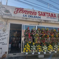 Floreria Santana La Calzada