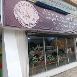 Floreria Santas Flores