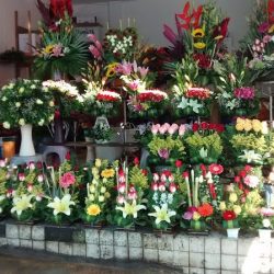 Florería Santiago