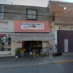 Floreria "santiago"