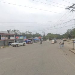 Floreria Santo Domingo