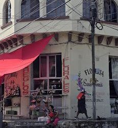 Floreria Santo Tomas